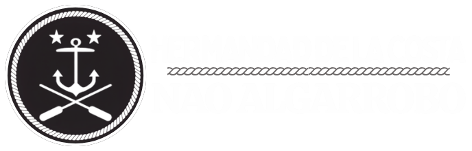 Logo NAO